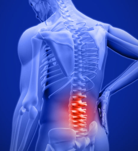 5 Reasons Why Your Back Is Hurting